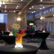 Non-Profit Event Photo - Game Show - by Compass Occasions Event Planners